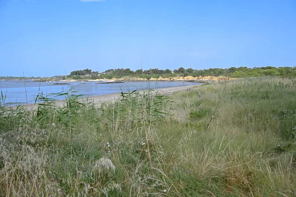 Plage sauvage bordée de dunes à Damgan, à quelques minutes du camping