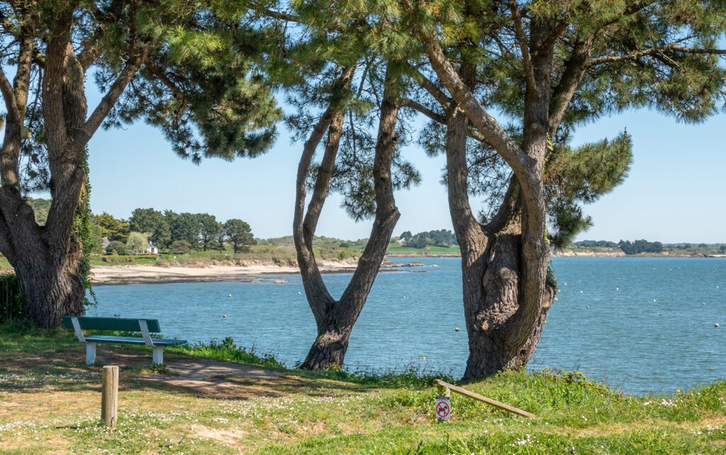 plage de Damgan sous les pins proche du Camping du Morbihan